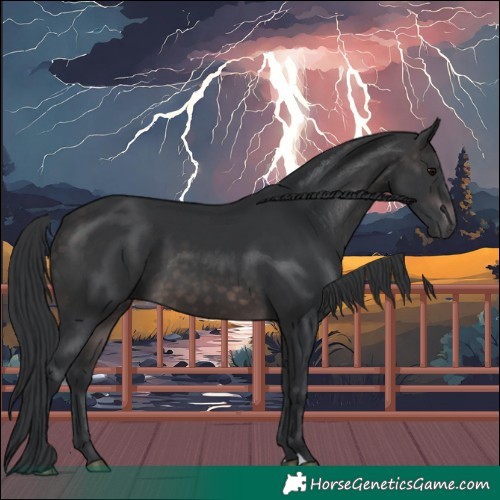 Horse Color:Platinum Brown