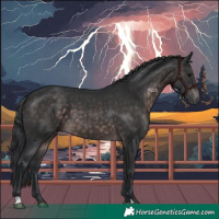 Horse Color:Platinum Brown 