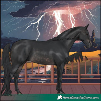 Horse Color:Platinum Brown 