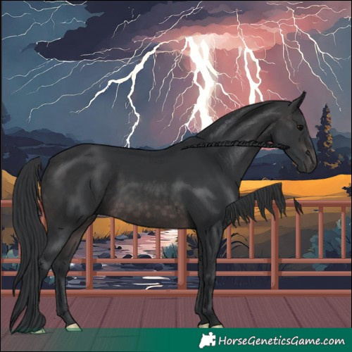 Horse Color:Platinum Brown 