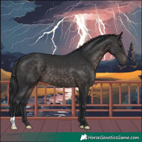 Horse Color:Platinum Brown 