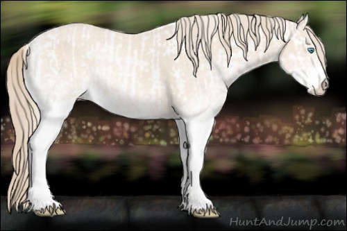 Horse Color:Perlino Sabino  and White Spotted Perlino Sabino 
