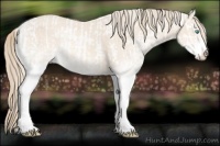 Horse Color:Perlino Sabino  and White Spotted Perlino Sabino 