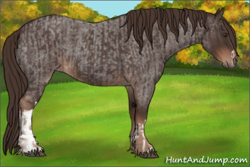 Horse Color:Liver Red Roan  and Liver Red Roan 