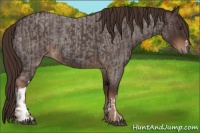 Horse Color:Liver Red Roan  and Liver Red Roan 