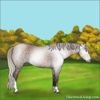 Horse Color:Gray Silver Black Pearl Tobiano