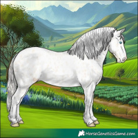 Horse Color:Cremello Near Leopard 