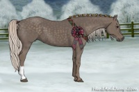 Horse Color:Silver Black 