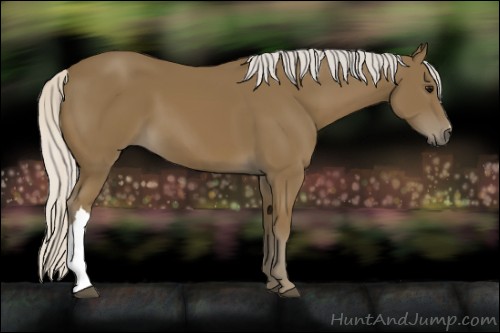 Horse Color:Silver Smoky Black 