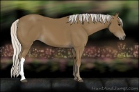 Horse Color:Silver Smoky Black 