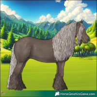 Horse Color:Silver Black 