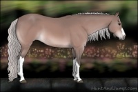 Horse Color:Platinum Silver Bay 