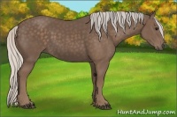 Horse Color:Silver Black 