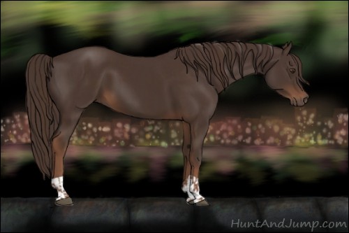 Horse Color:Liver Chestnut  and Liver Chestnut 