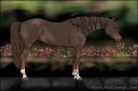 Horse Color:Liver Chestnut  and Liver Chestnut 