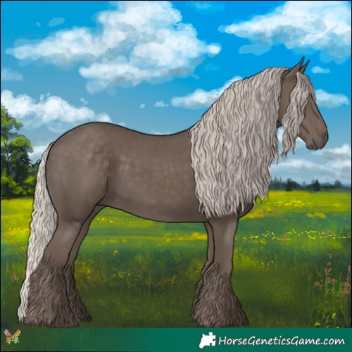 Horse Color:Silver Black 