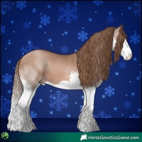 Horse Color:Brown Pearl Splash