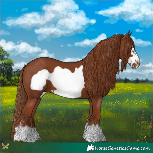 Horse Color:Chestnut Frame