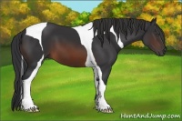 Horse Color:Brown Tobiano
