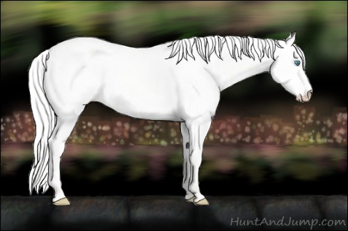 Horse Color:Silver Perlino Dun 