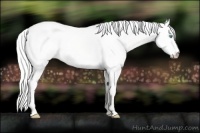 Horse Color:Silver Perlino Dun 