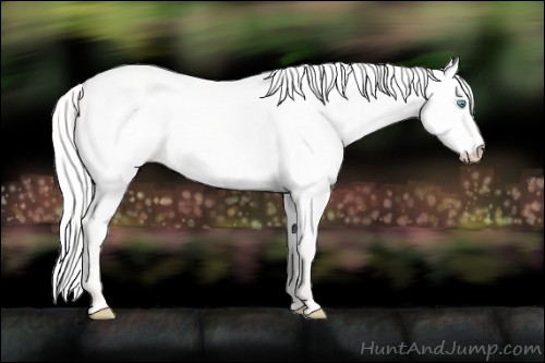 Horse Color:Silver Perlino Dun 
