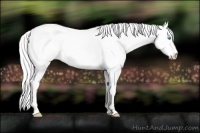 Horse Color:Silver Perlino Dun 