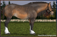 Horse Color:Buckskin Tobiano 