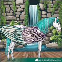 Horse Color:Painted Watercolor Silver Black Appaloosa 