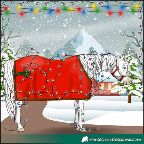 Horse Color:Cremello Appaloosa 