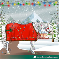 Horse Color:Cremello Appaloosa