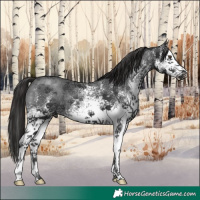 Horse Color:White Spotted Liver Chestnut 