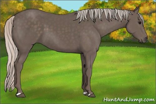 Horse Color:Silver Black 
