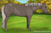 Horse Color:Silver Black