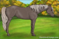 Horse Color:Silver Black 