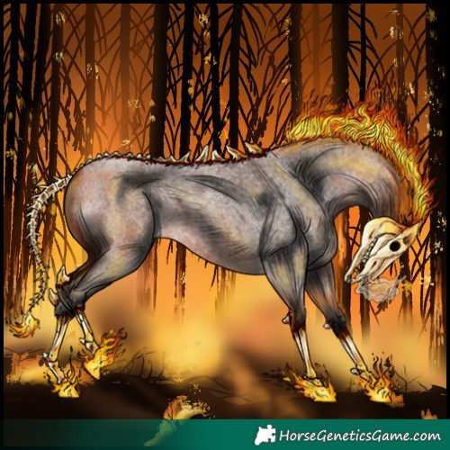 Horse Color:Bay Roan Splash 