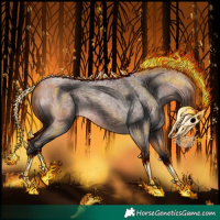 Horse Color:Bay Roan Splash 