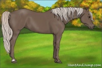 Horse Color:Silver Black 