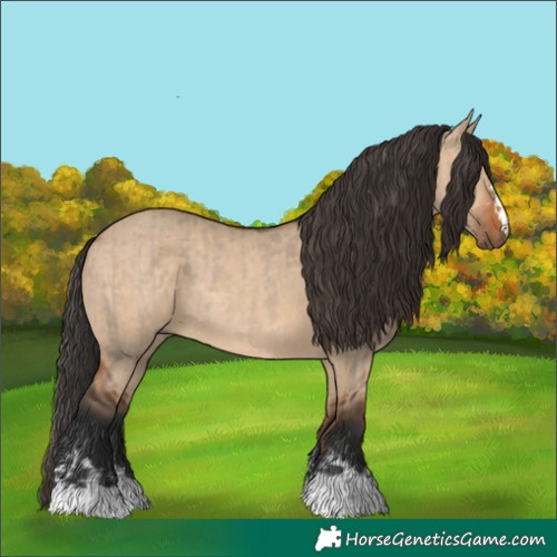 Horse Color:Brown Dun Rabicano  and Bay Dun Rabicano 