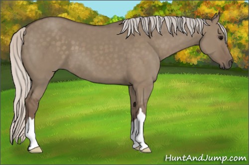 Horse Color:Silver Grullo