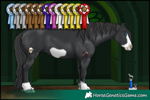 Horse Color:Black Frame 