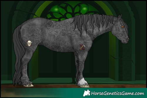 Horse Color:Black 