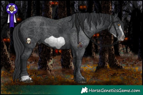 Horse Color:Black Frame 