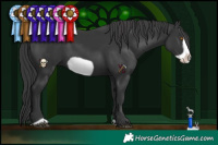 Horse Color:Black Frame 