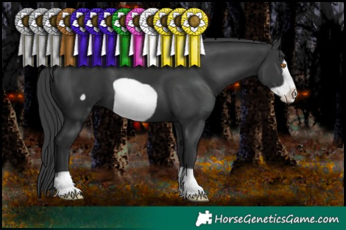 Horse Color:Black Frame 