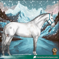 Horse Color:Gray Brown Dun Near Leopard 