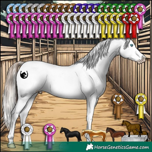 Horse Color:White Spotted Chocolate Palomino Pearl Snowflake Varnish and White Spotted Brown Pearl Snowflake Varnish