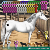 Horse Color:White Spotted Chocolate Palomino Pearl Appaloosa  and White Spotted Brown Pearl Appaloosa 