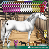 Horse Color:White Spotted Chocolate Palomino Pearl Appaloosa  and White Spotted Brown Pearl Appaloosa 