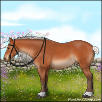 Horse Color:Silver Bay